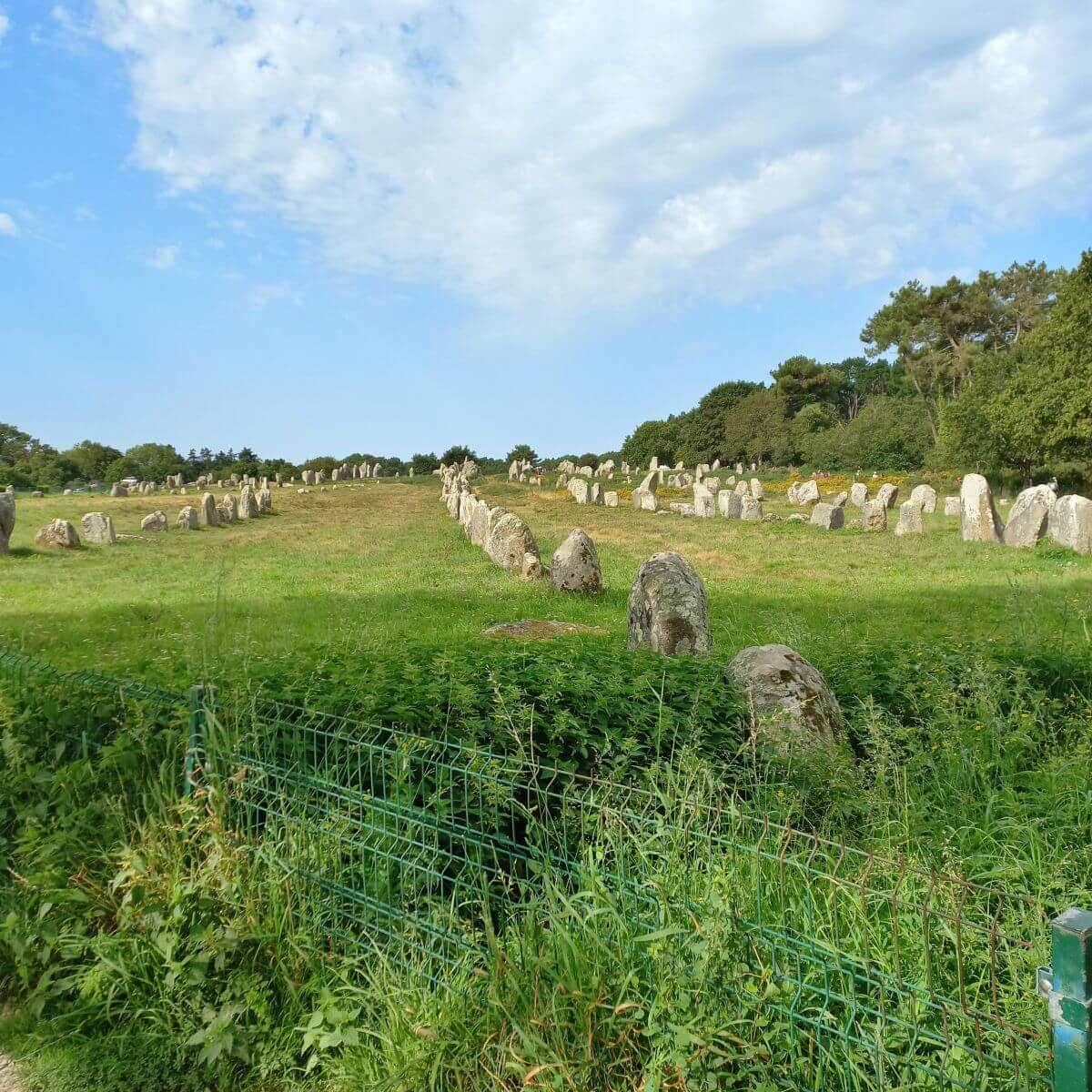 Alineamiento de Carnac Alineamiento de Carnac