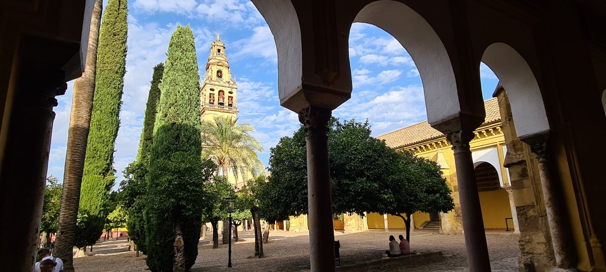 El Patio de la Mezquita de Córdoba El Patio de la Mezquita de Córdoba