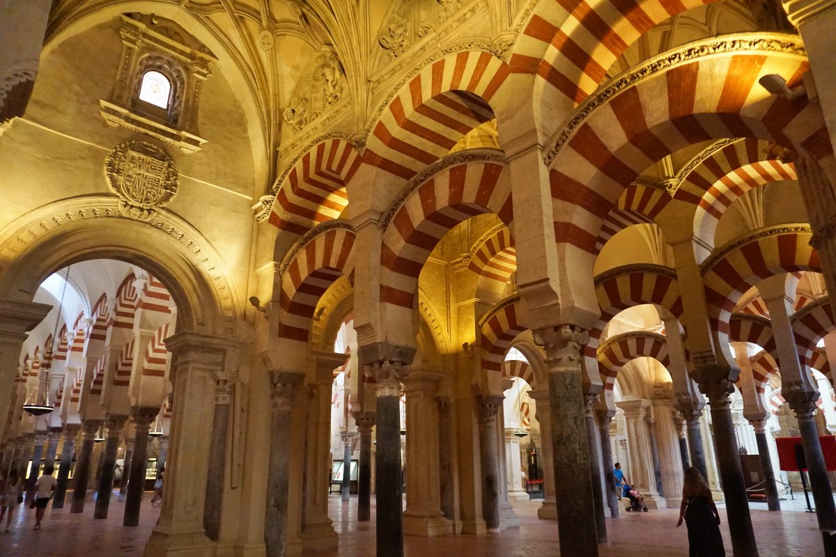 El bosque de columnas