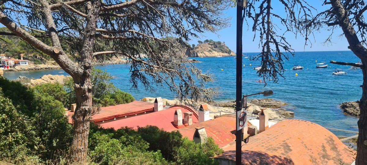 Cabañas de pescadores junto a S'Alguer Cabañas de pescadores junto a S'Alguer