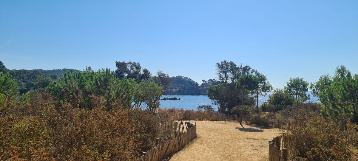 Camino a S'Alguer Camino a S'Alguer