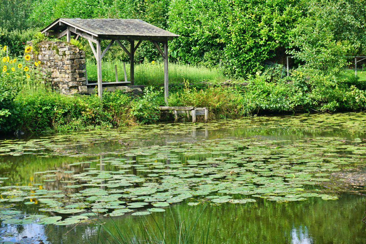 La bucólica pradera de las Lavanderas La bucólica pradera de las Lavanderas