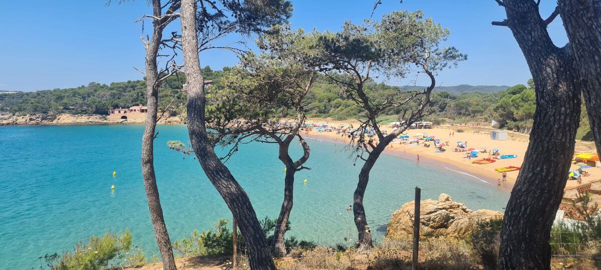 Platja del Castell desde el bosque de pinos junto al poblado ibérico Platja del Castell desde el bosque de pinos junto al poblado ibérico
