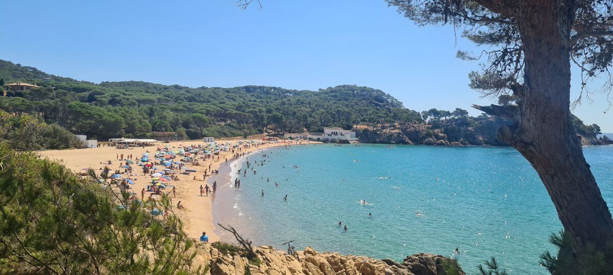 Platja del Castell desde el camino de Ronda Platja del Castell desde el camino de Ronda