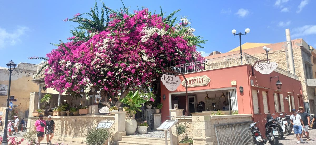 El restaurante Erofili en Rethymno El restaurante Erofili en Rethymno