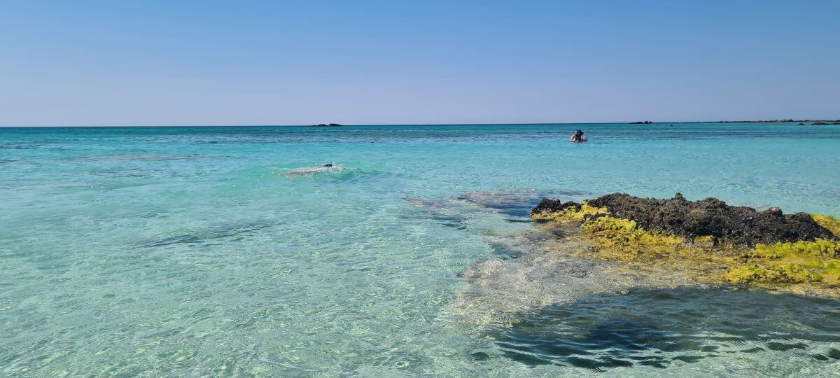 Playa ideal para bucear Playa ideal para bucear