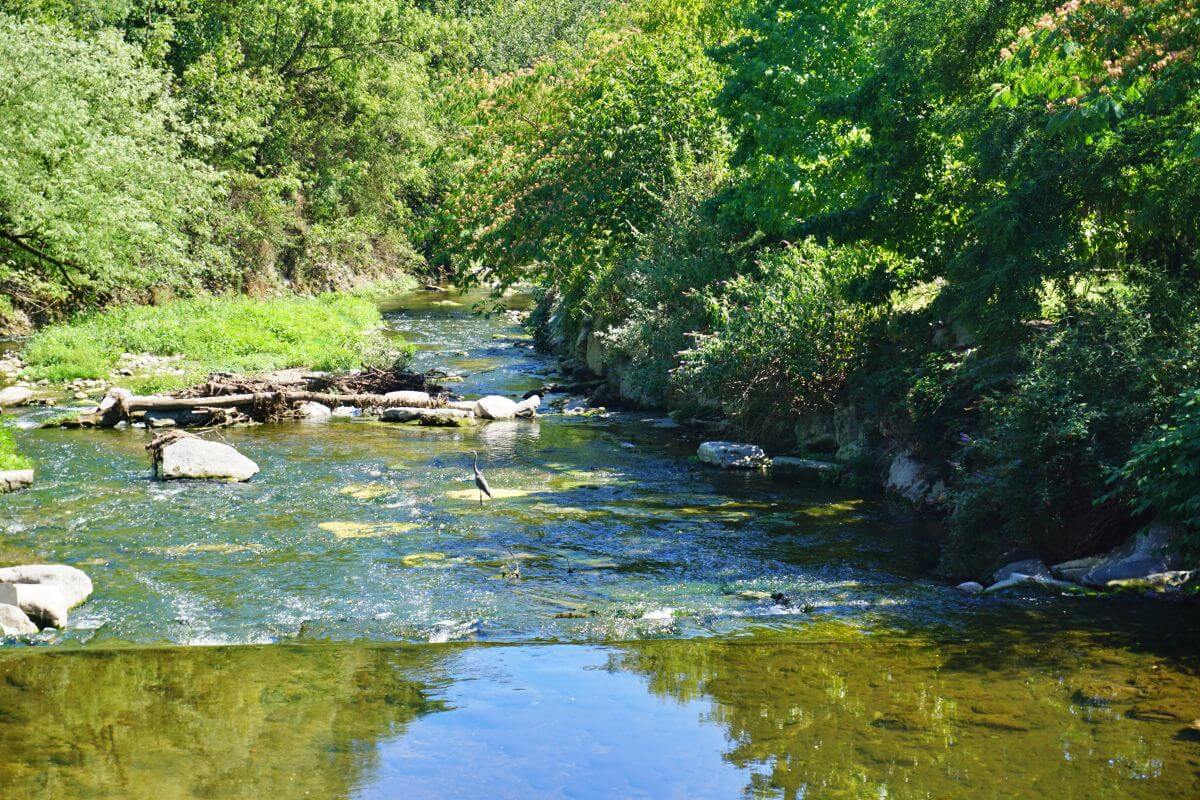 Rio Olona Rio Olona