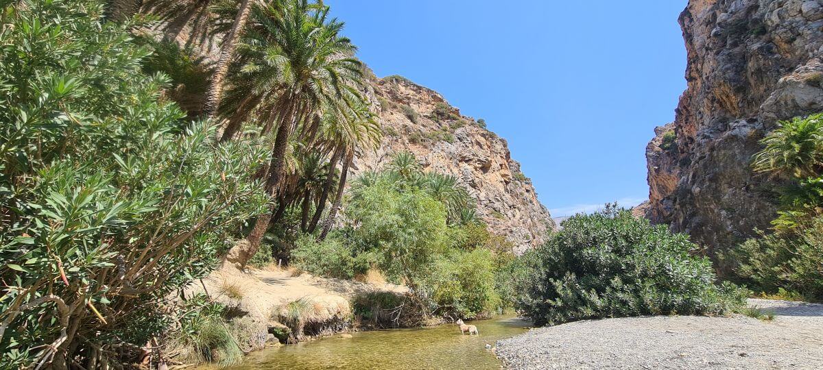Desfiladero de Kourtaliotiko Desfiladero de Kourtaliotiko