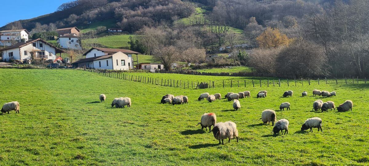Escena idílica en Zugarramurdi Escena idílica en Zugarramurdi