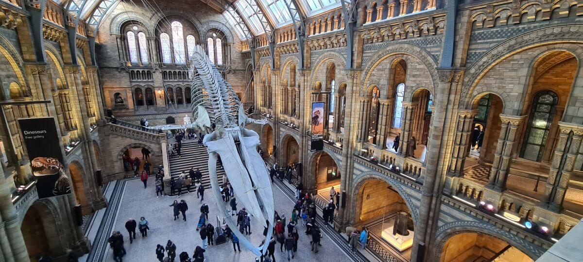 Museo de Historia Natural de Londres Museo de Historia Natural de Londres