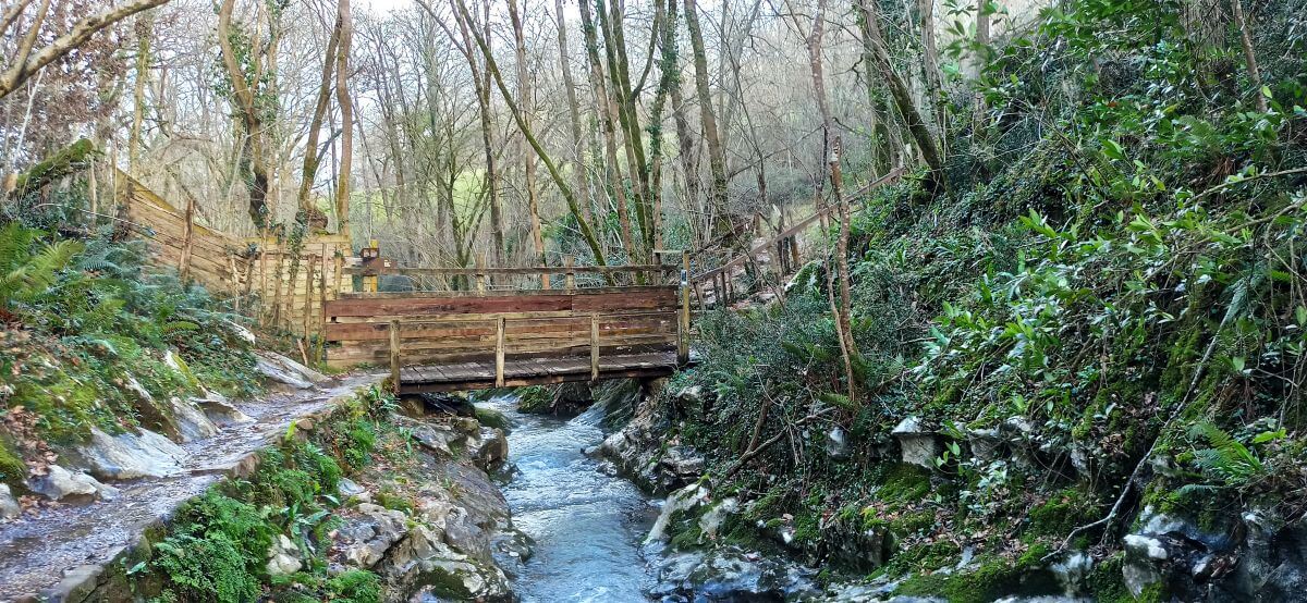 Puente y bosque del camino de las cuevas Puente y bosque del camino de las cuevas