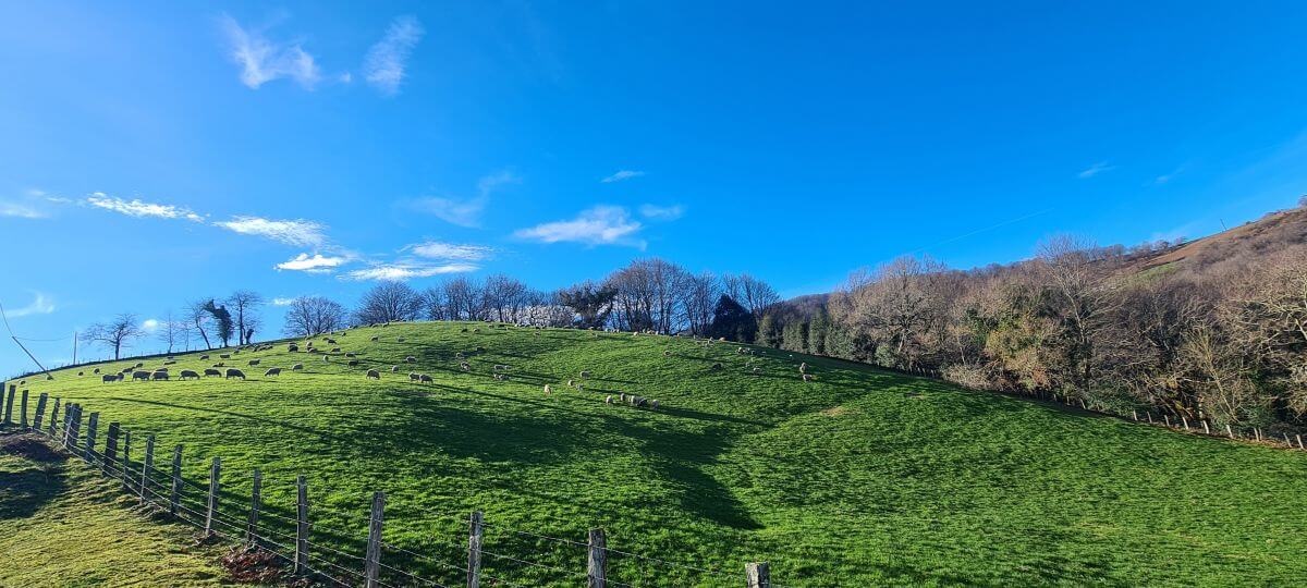Paisajes antes de llegar al Molino del Infierno Paisajes antes de llegar al Molino del Infierno
