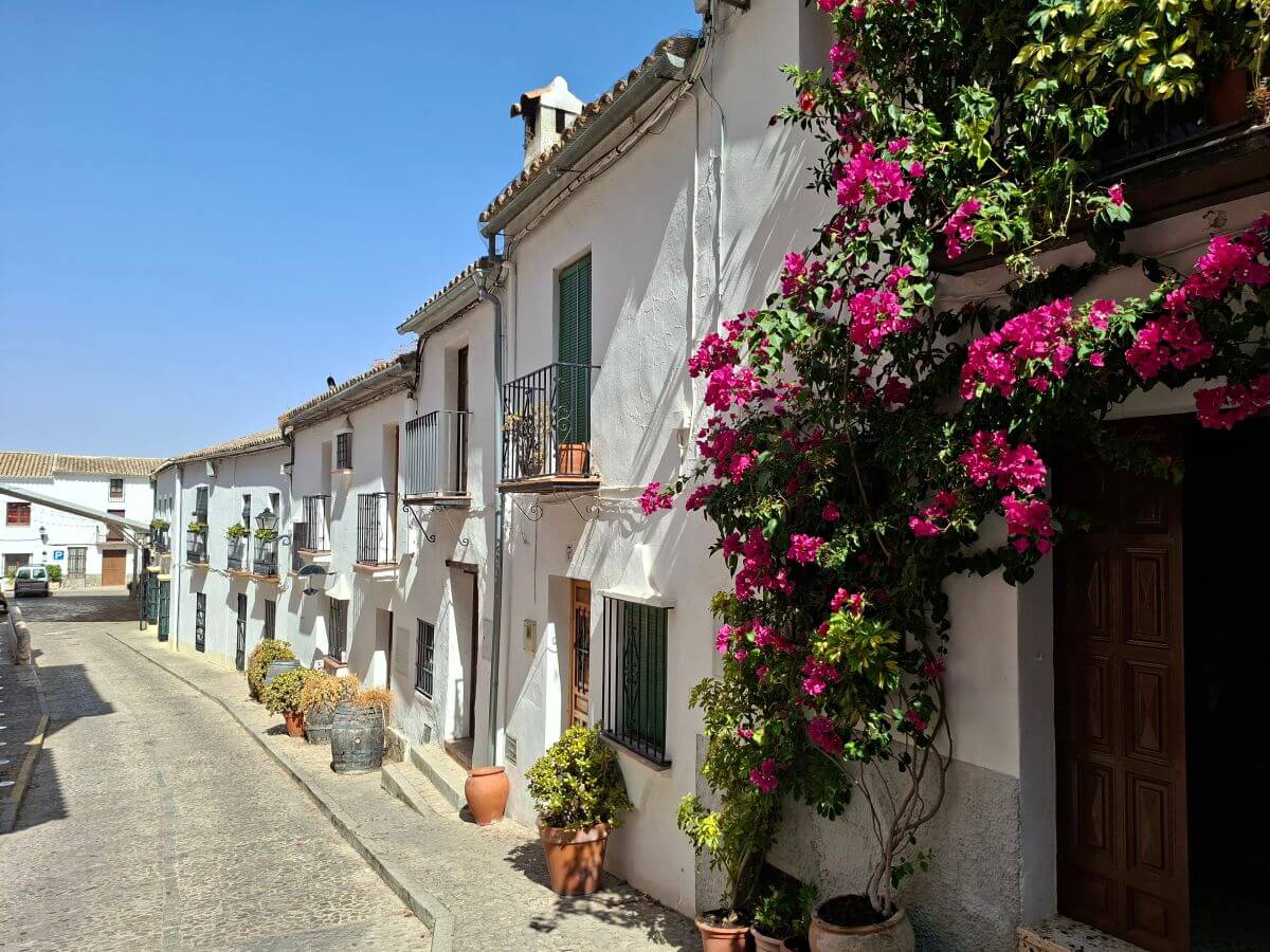 Buganvillas en Zahara de la Sierra Buganvillas en Zahara de la Sierra