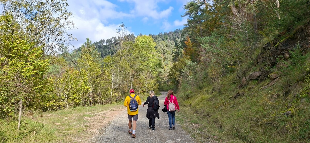 La pista inicial de Vallfogona del Ripollés La pista inicial de Vallfogona del Ripollés