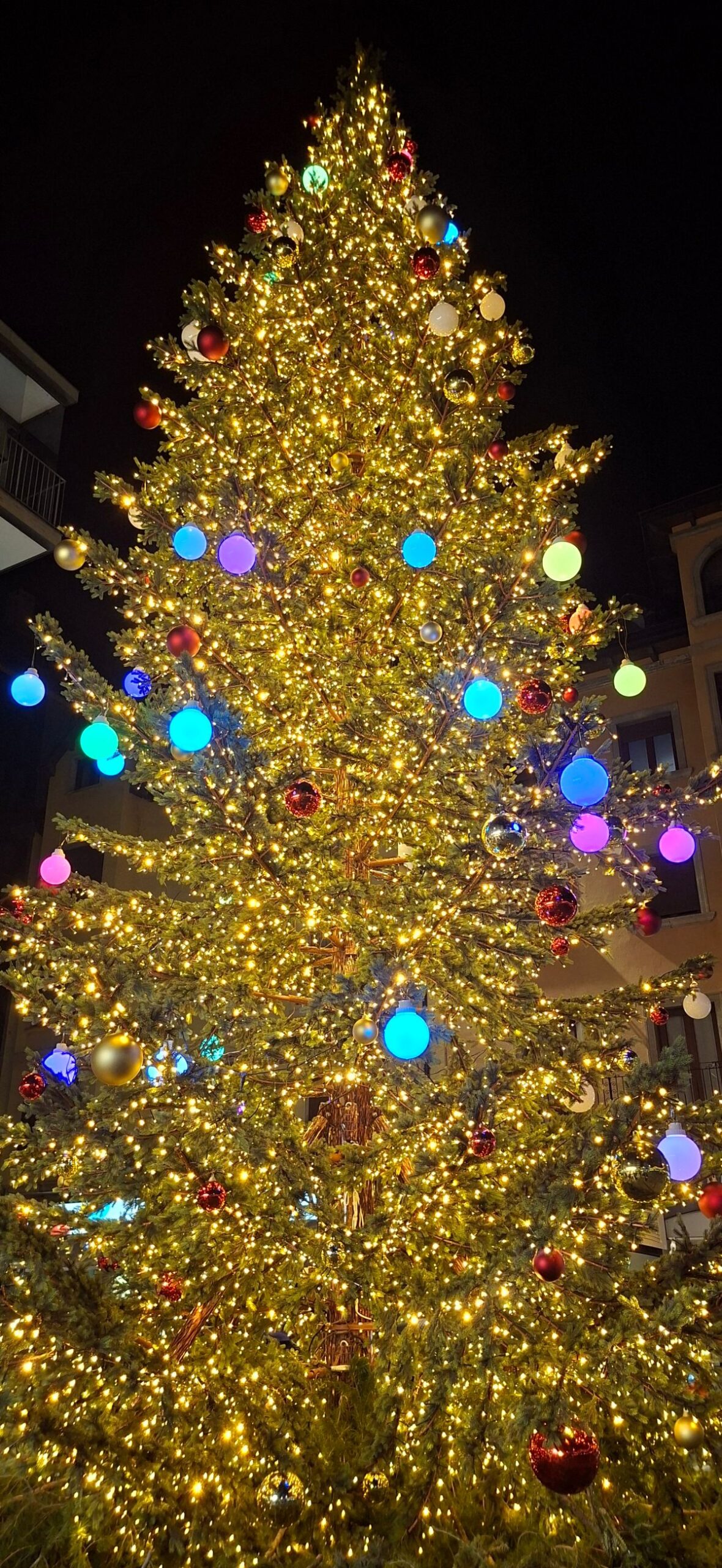 El Árbol de los Deseos de la Plaza Guillemó El Árbol de los Deseos de la Plaza Guillemó