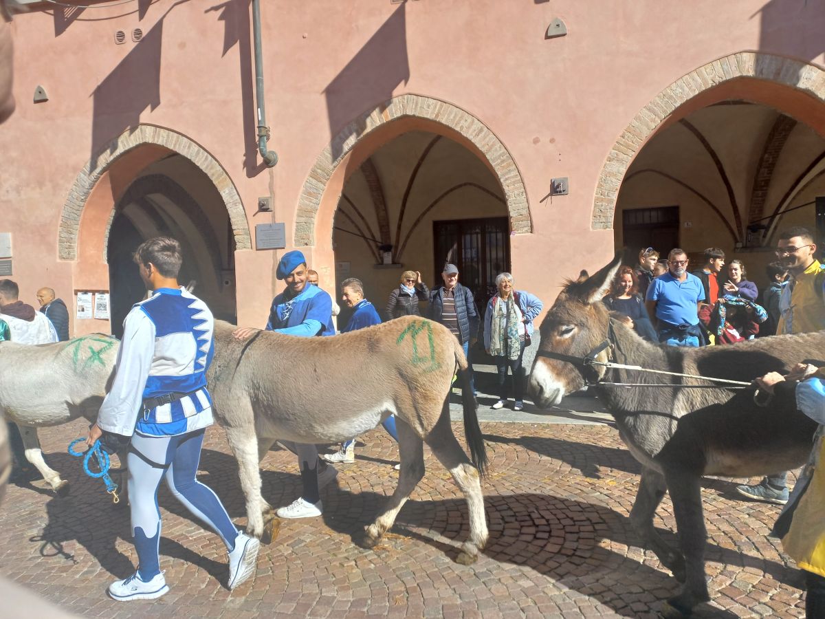 Palio degli asini Palio degli asini