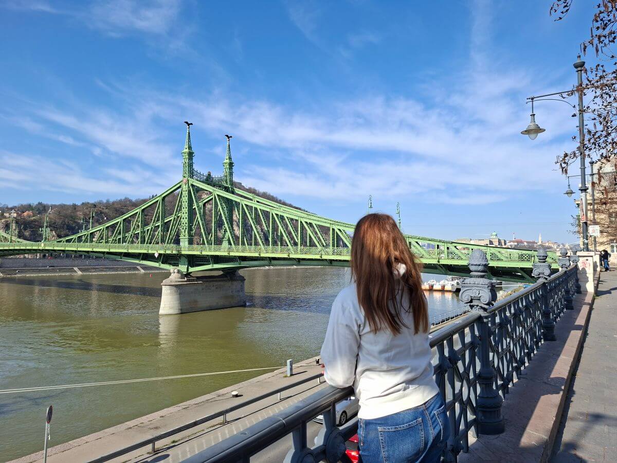 Paseo junto al Danubio y Liberty Bridge