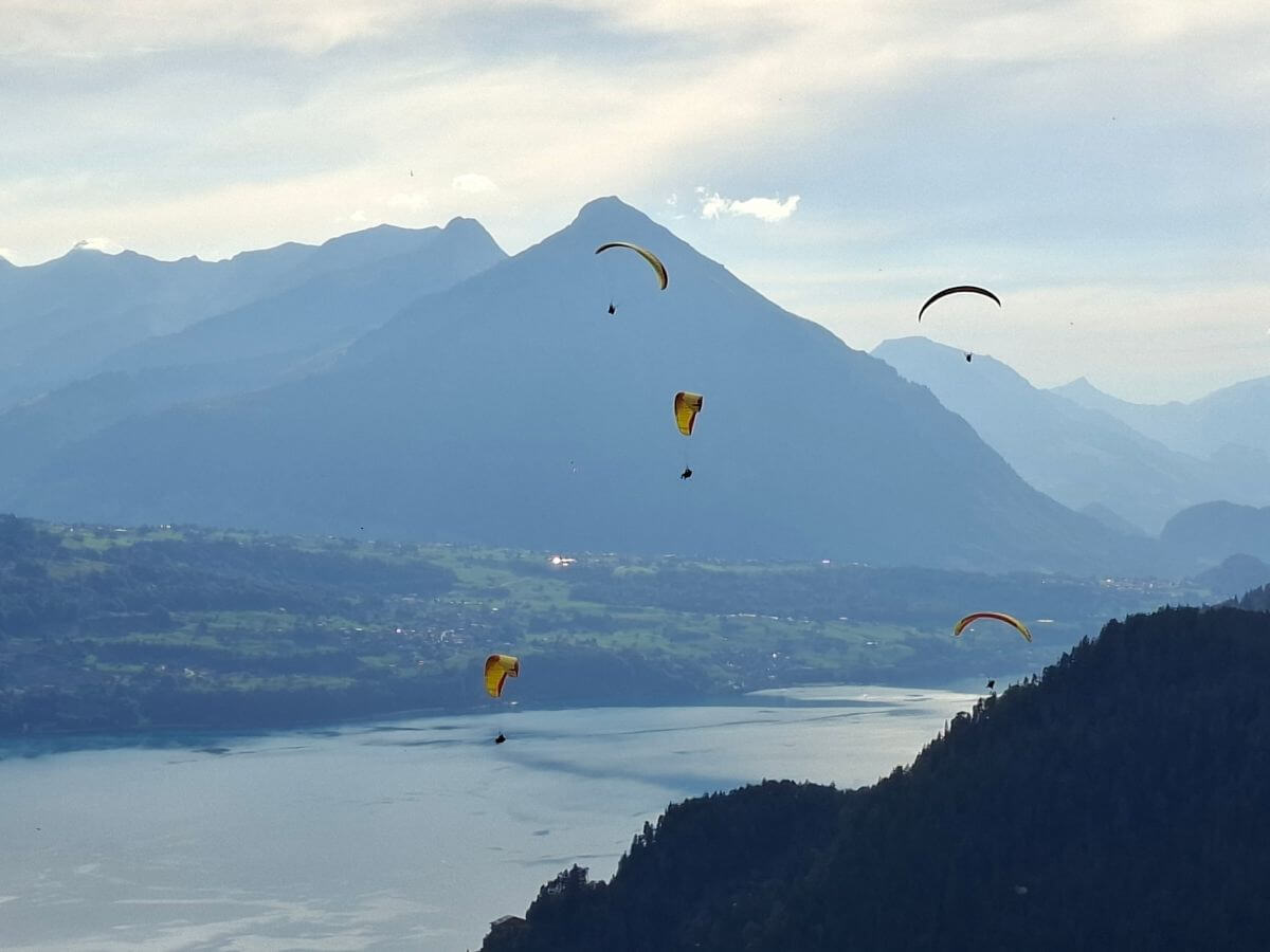 Parapente ante el Niesen